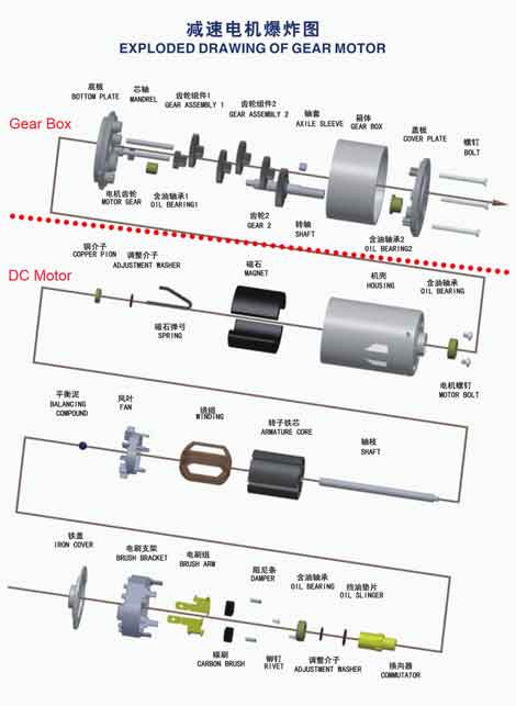 Max Motor Motor Structure
